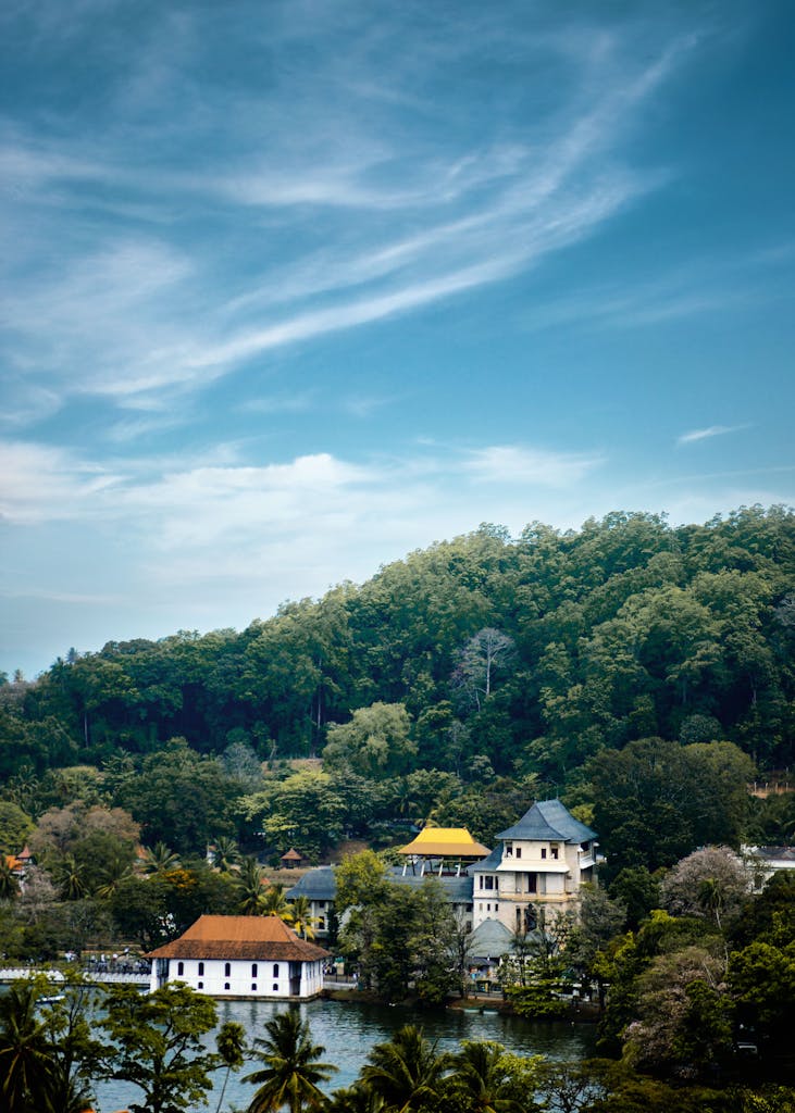 Green Trees Near the Houses